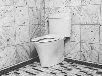 Toilet installation, repair and replacement services.