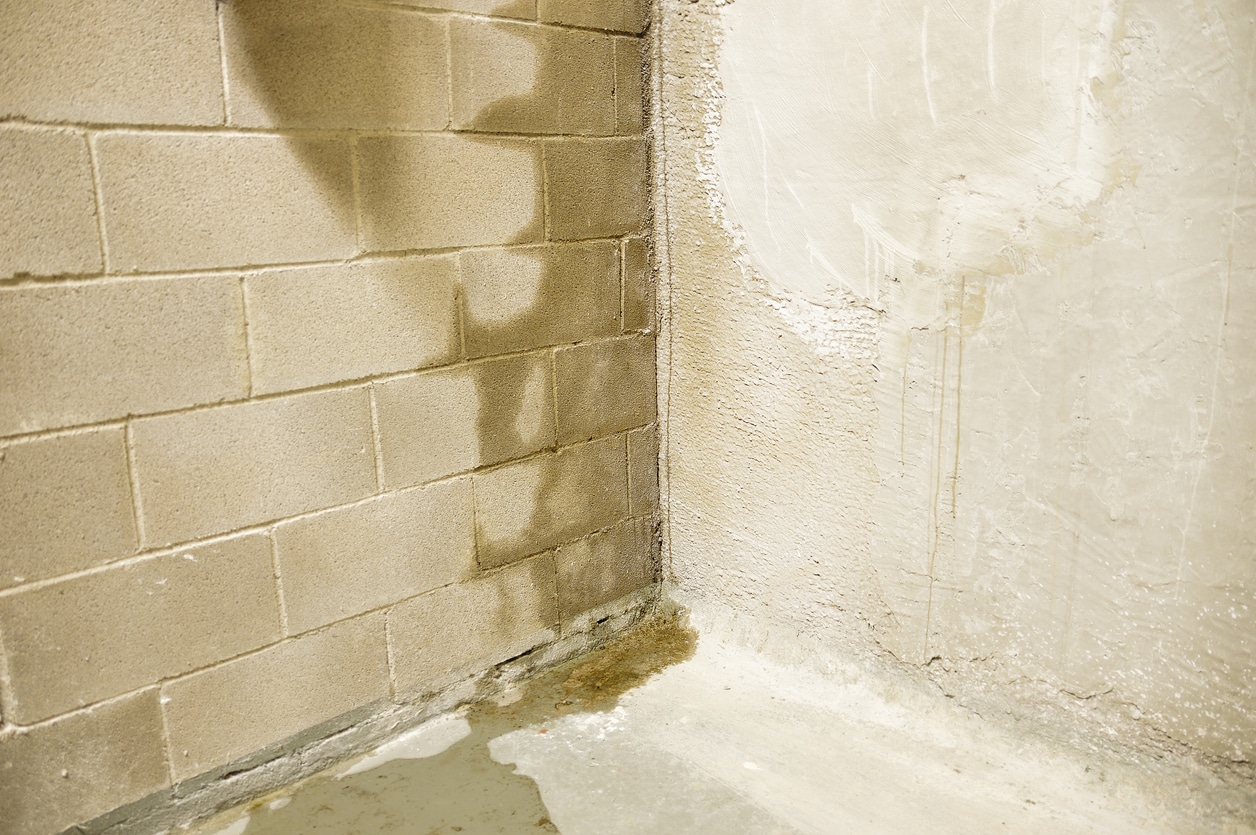 A concrete wall showing water infiltration in a basement, which could be fixed by a sump pump.
